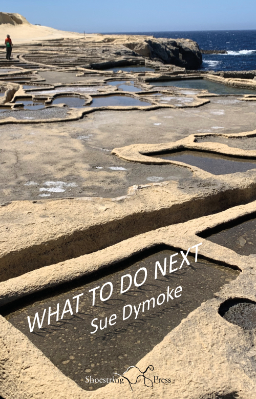 Cover for What To Do Next