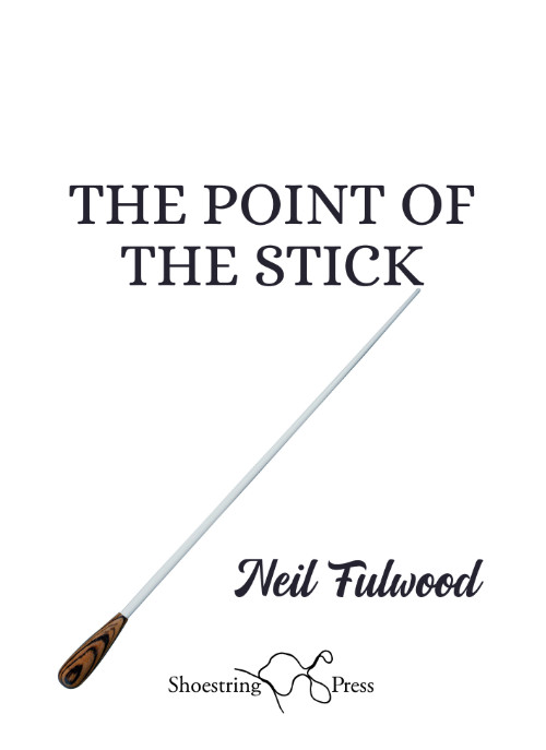 Cover for The Point of the Stick