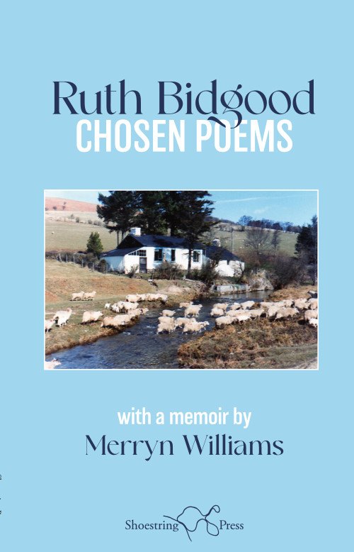 Cover for Ruth Bidgood: Chosen Poems