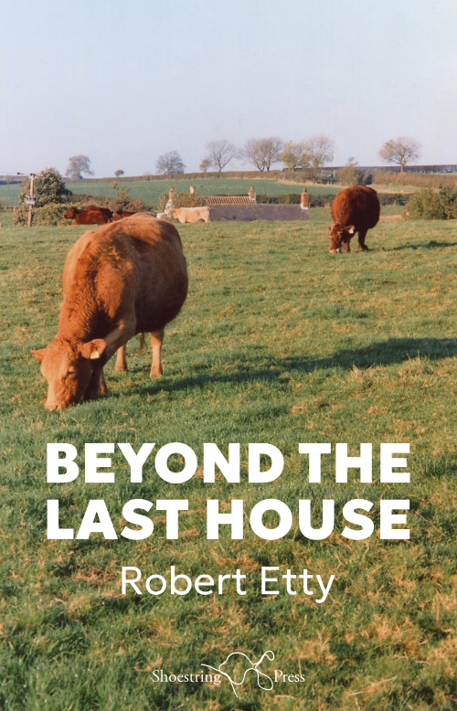 Cover for Beyond the Last House