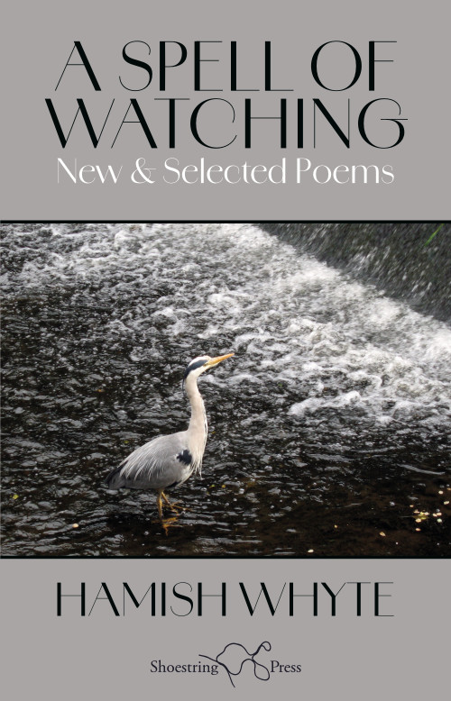 Cover for A Spell of Watching: New & Selected Poems